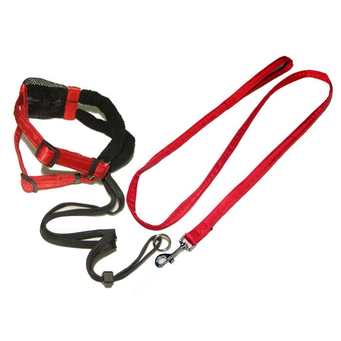 Strong safety red nylon harness strap dog collar and pet leash
