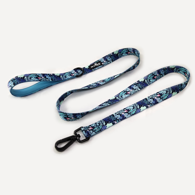 Fashion attractive design eco friendly nylon pet leash rope hands free training walking leash for dog