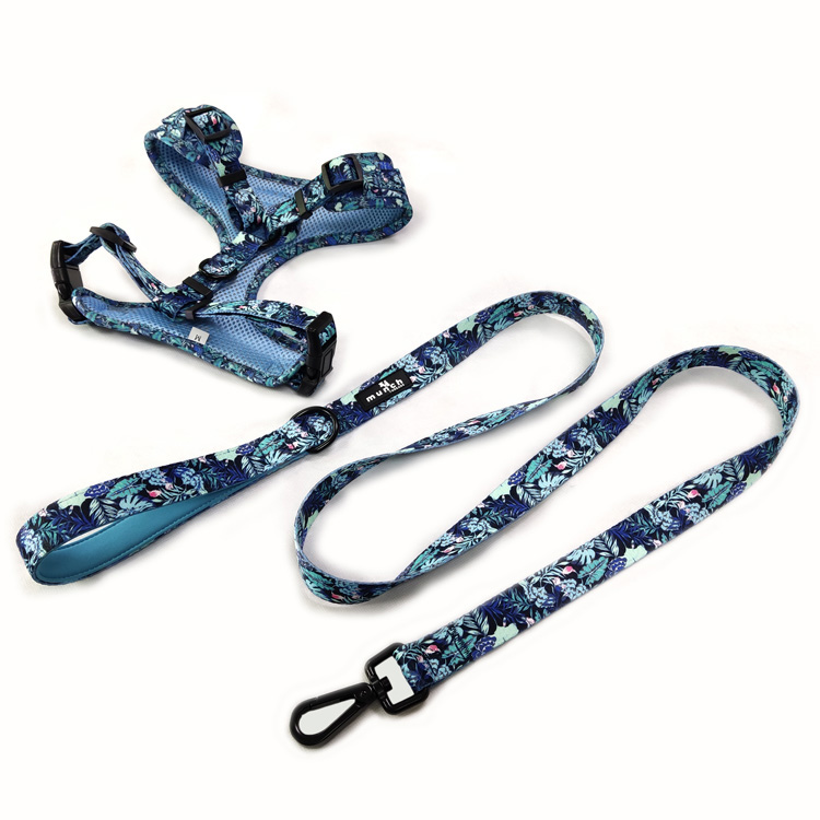 Fashion attractive design eco friendly nylon pet leash rope hands free training walking leash for dog