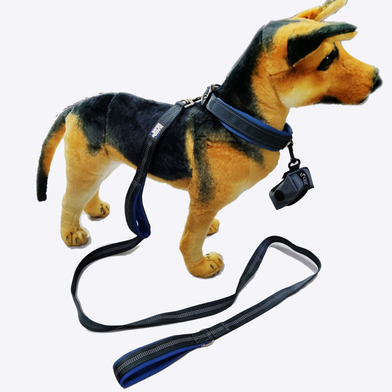 Safe reversible Wear neoprene pet dog leash