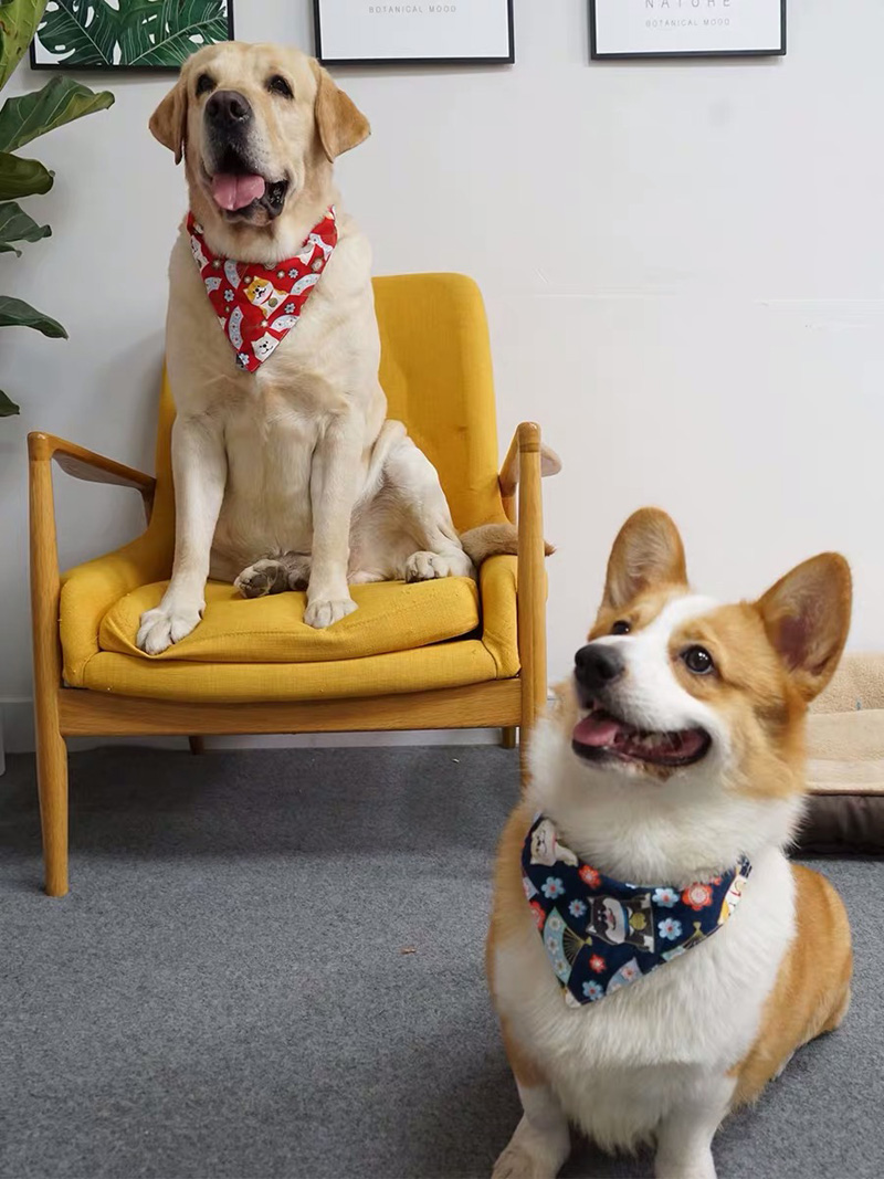 Designers spike pet no bark luxury acero collar para gatos dog hardware collar bandana sleeve