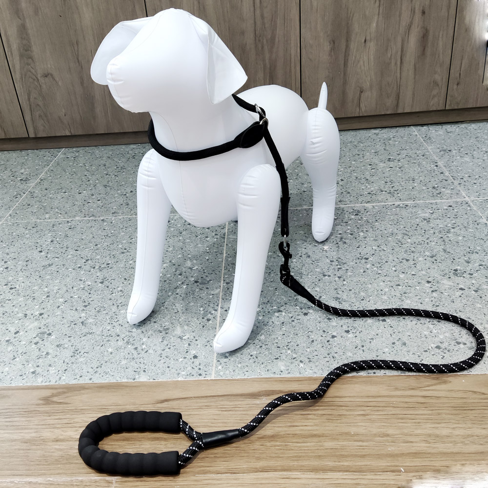 Fashion attractive design reflective nylon rope running dog leash for pets