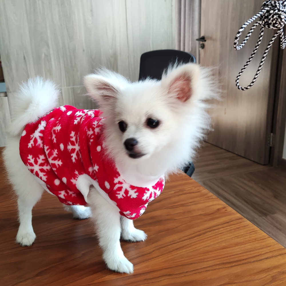 Wholesale Winter Fall Puppy Oem Custom Cloth Clothing Pet Clothes Coats