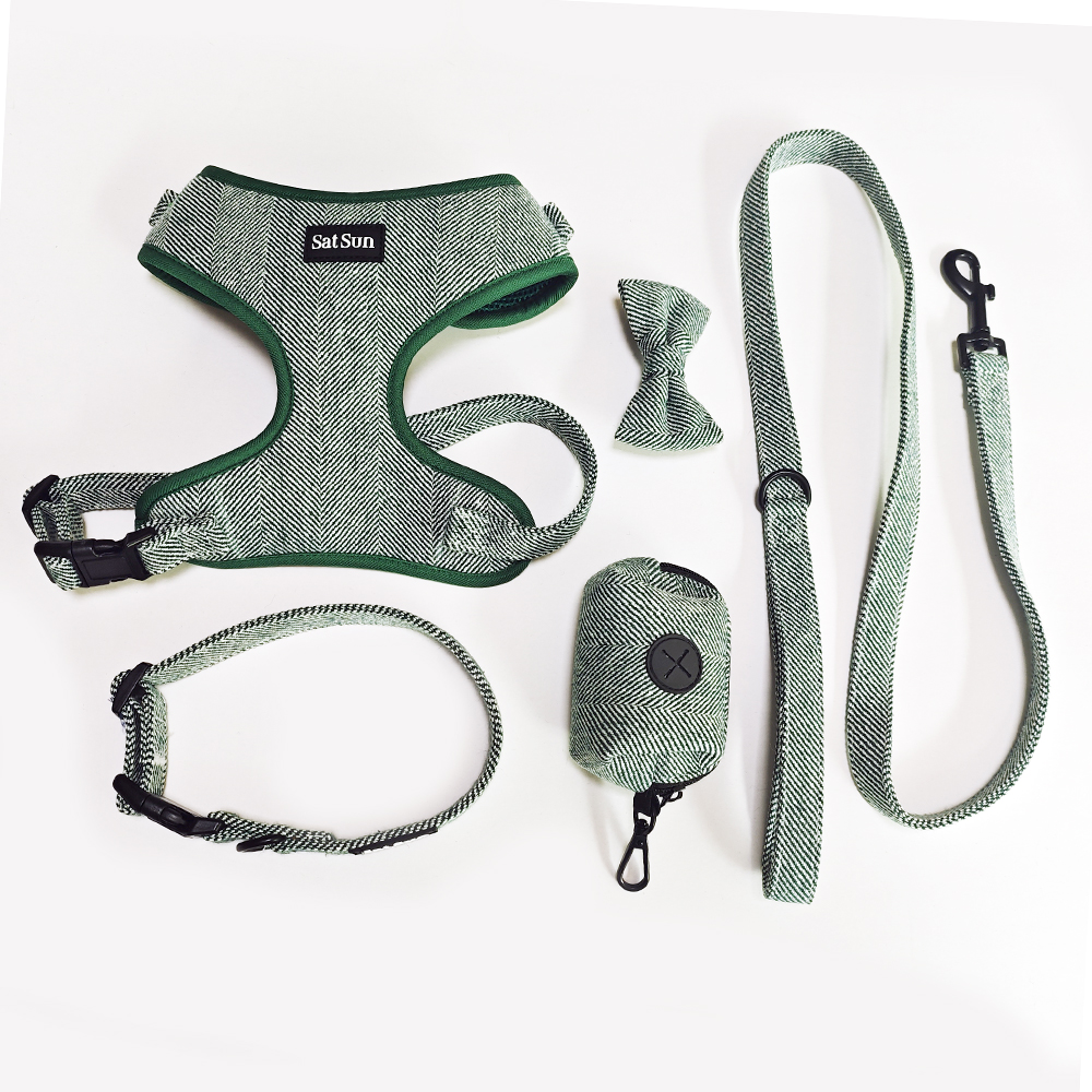 A five-piece set of green cationic fabric for pets taking a walk