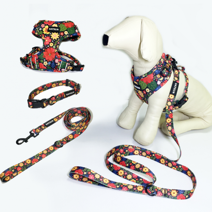 太阳花遛狗三件套宠物牵引绳狗圈宠物背